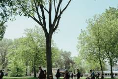 snelleselectiezaterdag-8501